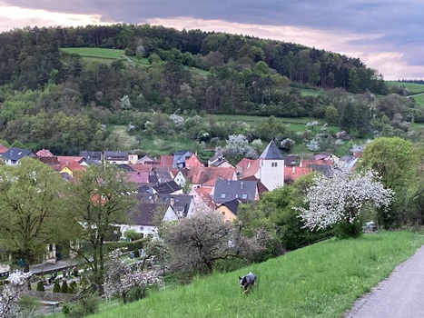 Ferienwohnung Götz